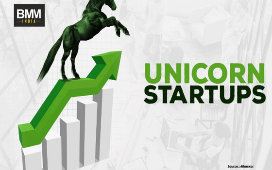 Lessons Indian Startups Can Learn from Failed Unicorns | Business Minds Media India